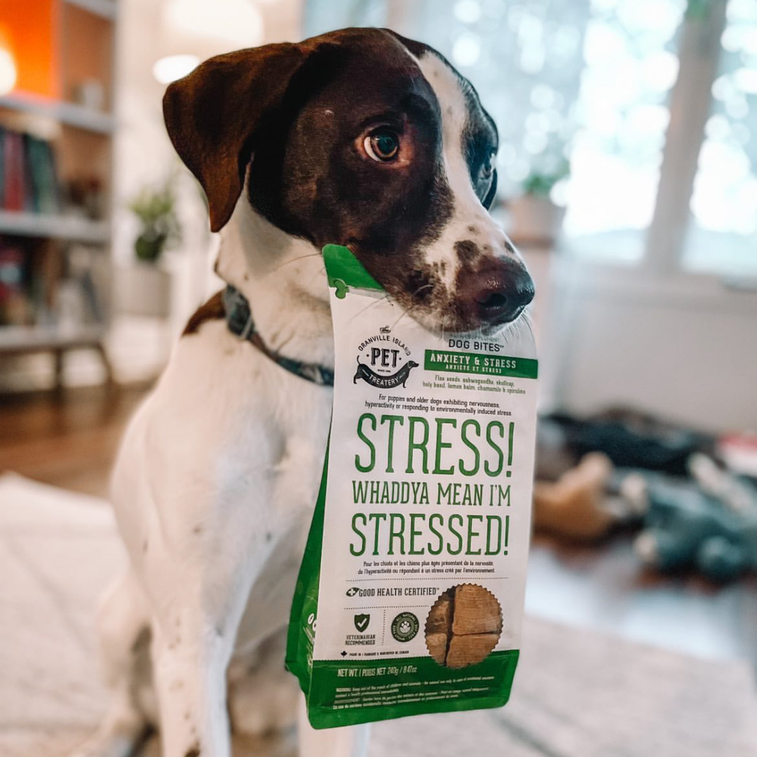 Dog Supplements-Stress & Anxiety Supplement Dog Herbal Bites