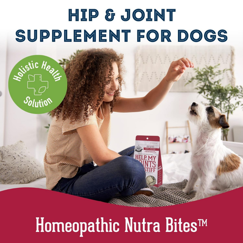 Dog Supplements-  Joint & Bone Supplement Dog Herbal Bites