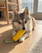Squeaky Corn