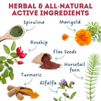 Dog Supplements-  Joint & Bone Supplement Dog Herbal Bites
