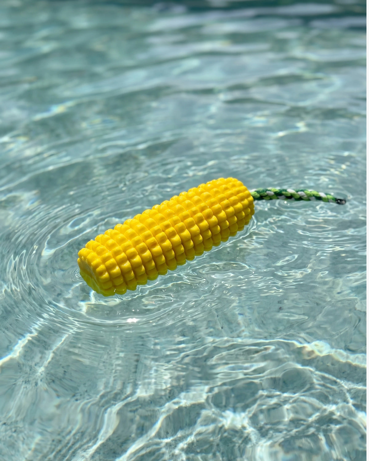 Squeaky Corn