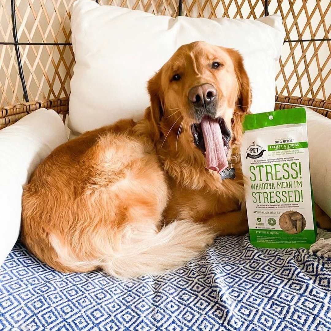 Dog Supplements-Stress & Anxiety Supplement Dog Herbal Bites