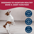 Dog Supplements-  Joint & Bone Supplement Dog Herbal Bites