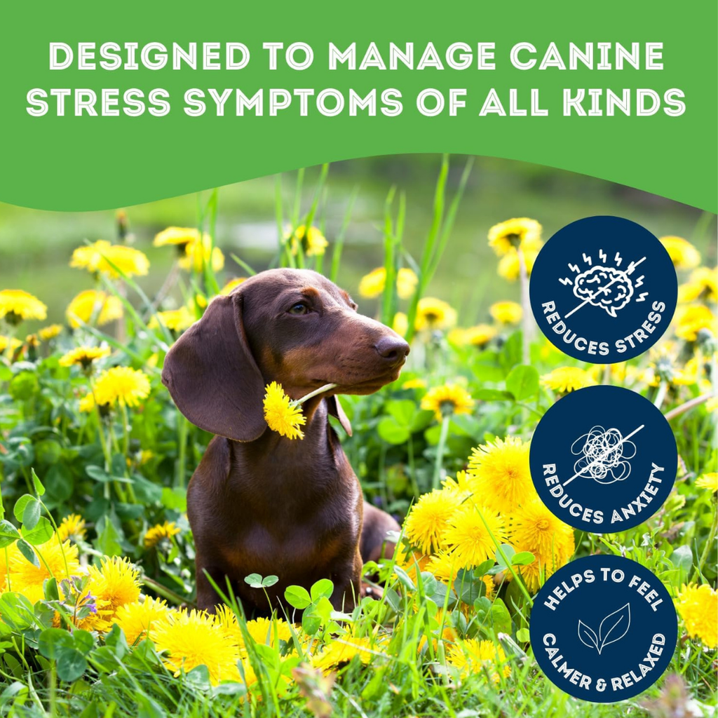 Dog Supplements-Stress & Anxiety Supplement Dog Herbal Bites