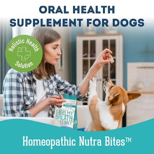 Dog Supplements-  Oral Health Supplement Dog Herbal Bites