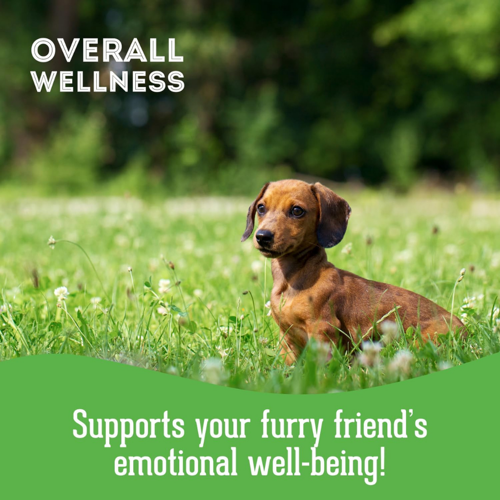 Dog Supplements-Stress & Anxiety Supplement Dog Herbal Bites