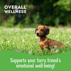 Dog Supplements-Stress & Anxiety Supplement Dog Herbal Bites
