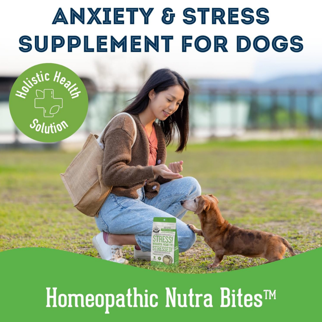 Dog Supplements-Stress & Anxiety Supplement Dog Herbal Bites