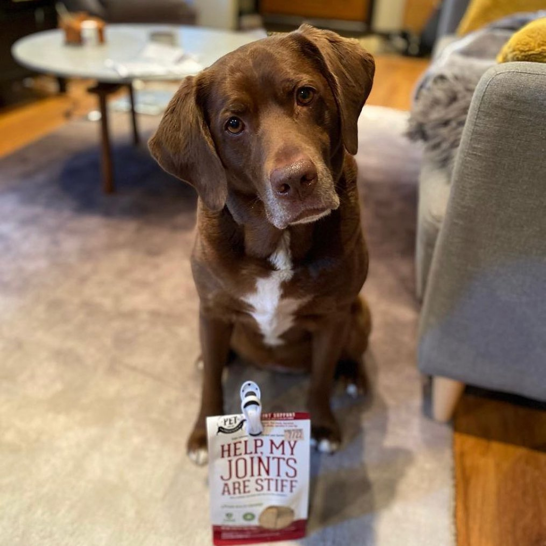 Dog Supplements-  Joint & Bone Supplement Dog Herbal Bites