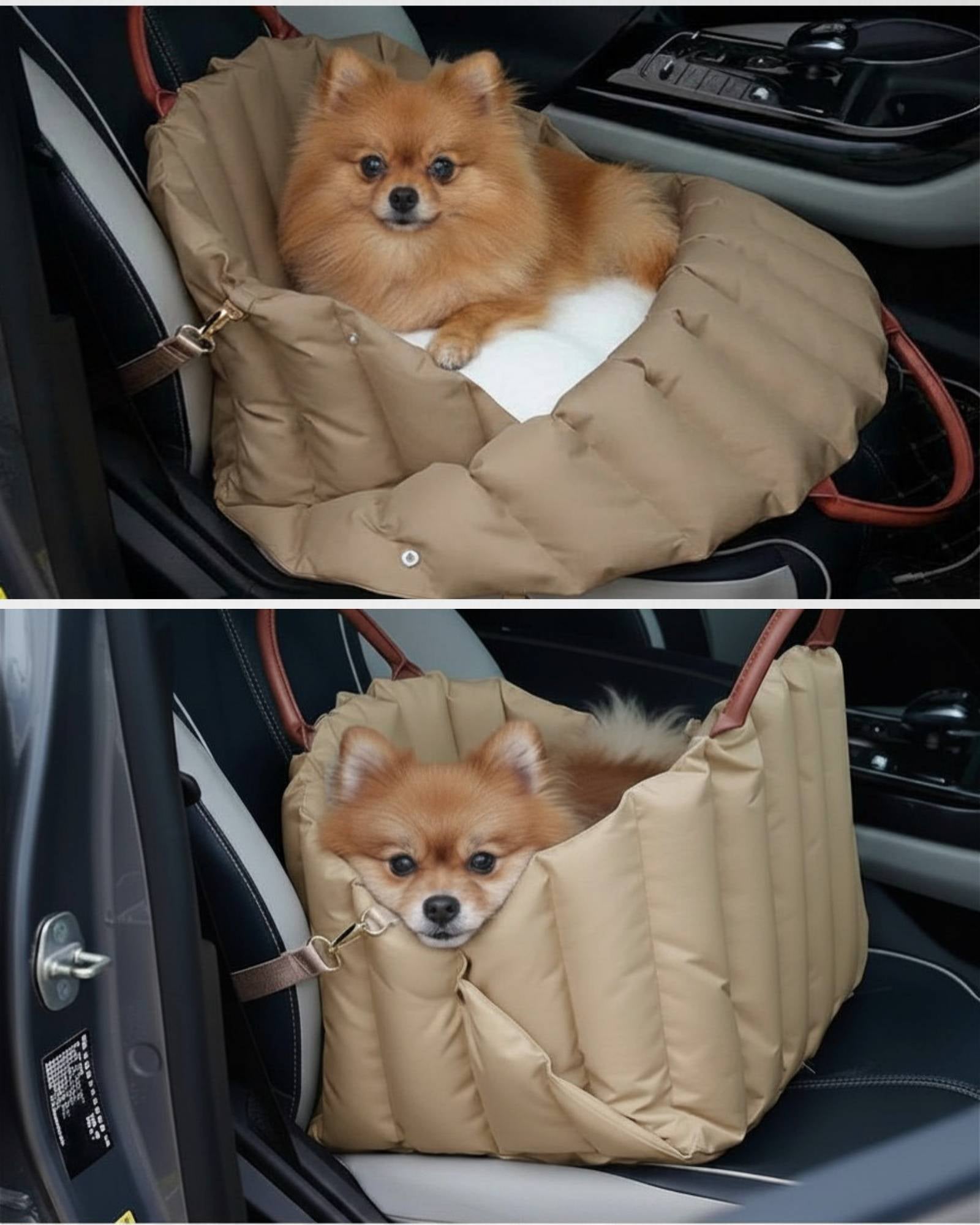 RoamWell Co-Pilot